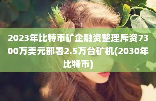 2023年比特币矿企融资整理斥资7300万美元部署2.5万台矿机(2030年比特币)