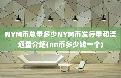 NYM币总量多少NYM币发行量和流通量介绍(nn币多少钱一个)