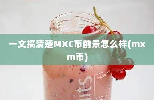 一文搞清楚MXC币前景怎么样(mxm币)