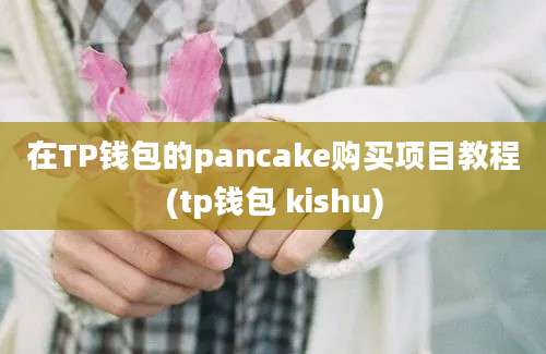 在TP钱包的pancake购买项目教程(tp钱包 kishu)