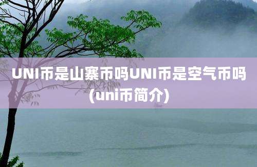 UNI币是山寨币吗UNI币是空气币吗(uni币简介)