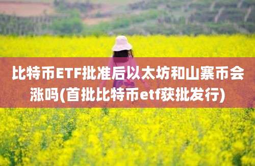 比特币ETF批准后以太坊和山寨币会涨吗(首批比特币etf获批发行)