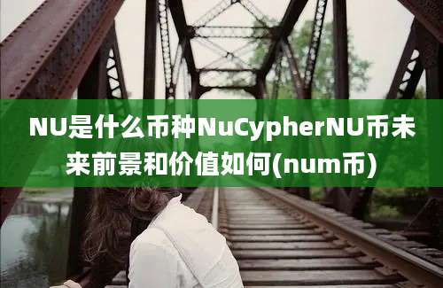 NU是什么币种NuCypherNU币未来前景和价值如何(num币)