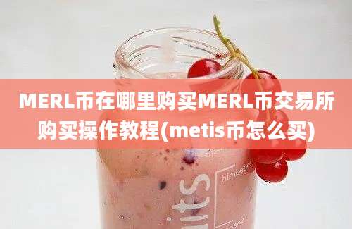 MERL币在哪里购买MERL币交易所购买操作教程(metis币怎么买)