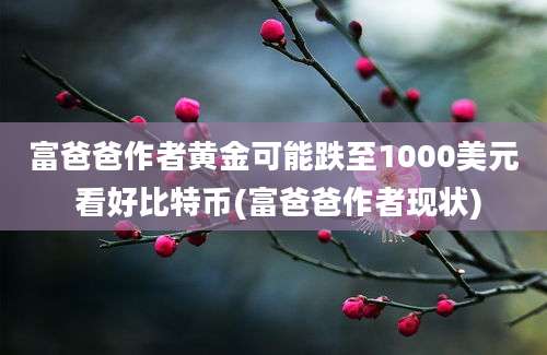 富爸爸作者黄金可能跌至1000美元 看好比特币(富爸爸作者现状)