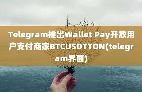 Telegram推出Wallet Pay开放用户支付商家BTCUSDTTON(telegram界面)