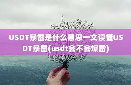 USDT暴雷是什么意思一文读懂USDT暴雷(usdt会不会爆雷)