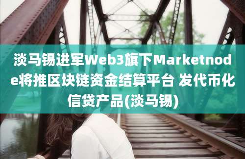 淡马锡进军Web3旗下Marketnode将推区块链资金结算平台 发代币化信贷产品(淡马锡)