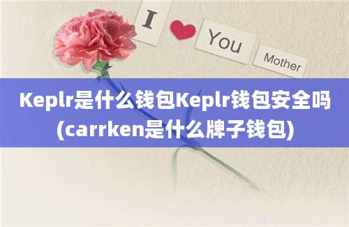 Keplr是什么钱包Keplr钱包安全吗(carrken是什么牌子钱包)