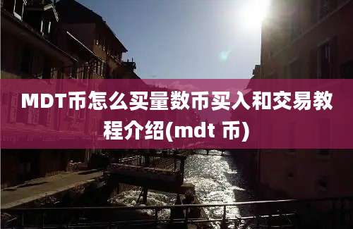 MDT币怎么买量数币买入和交易教程介绍(mdt 币)