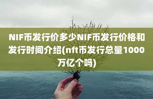 NIF币发行价多少NIF币发行价格和发行时间介绍(nft币发行总量1000万亿个吗)