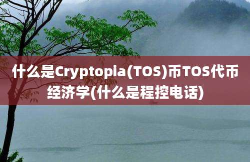 什么是Cryptopia(TOS)币TOS代币经济学(什么是程控电话)