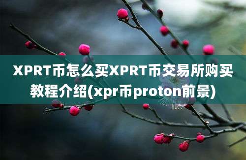 XPRT币怎么买XPRT币交易所购买教程介绍(xpr币proton前景)