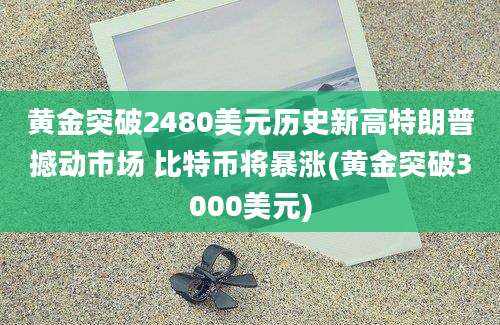 黄金突破2480美元历史新高特朗普撼动市场 比特币将暴涨(黄金突破3000美元)