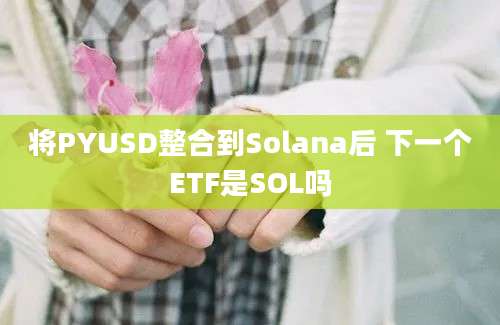 将PYUSD整合到Solana后 下一个ETF是SOL吗