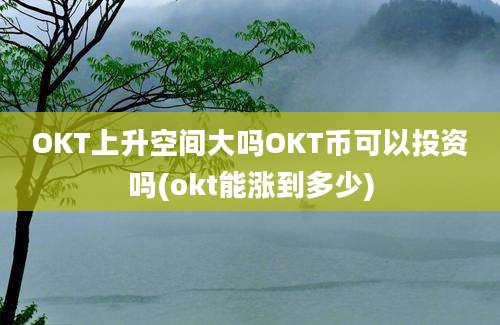 OKT上升空间大吗OKT币可以投资吗(okt能涨到多少)