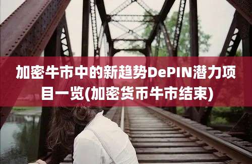 加密牛市中的新趋势DePIN潜力项目一览(加密货币牛市结束)