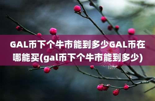 GAL币下个牛市能到多少GAL币在哪能买(gal币下个牛市能到多少)