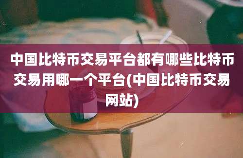 中国比特币交易平台都有哪些比特币交易用哪一个平台(中国比特币交易网站)