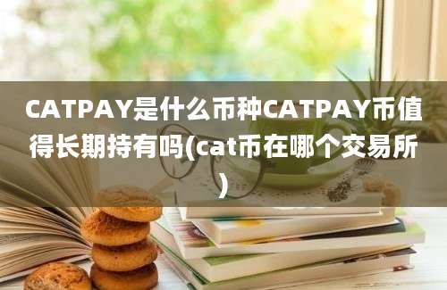 CATPAY是什么币种CATPAY币值得长期持有吗(cat币在哪个交易所)