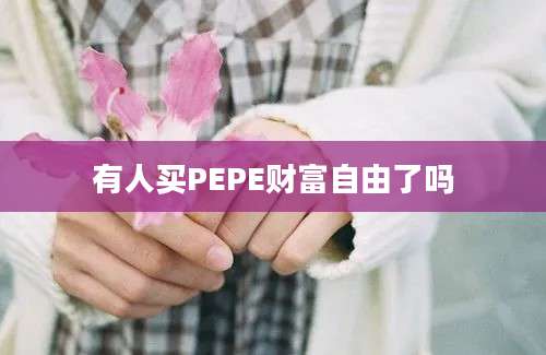 有人买PEPE财富自由了吗