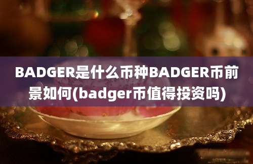 BADGER是什么币种BADGER币前景如何(badger币值得投资吗)