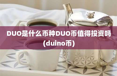 DUO是什么币种DUO币值得投资吗(duino币)