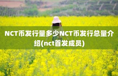 NCT币发行量多少NCT币发行总量介绍(nct首发成员)