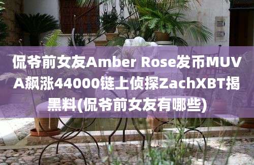 侃爷前女友Amber Rose发币MUVA飙涨44000链上侦探ZachXBT揭黑料(侃爷前女友有哪些)