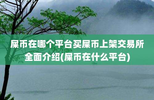 屎币在哪个平台买屎币上架交易所全面介绍(屎币在什么平台)