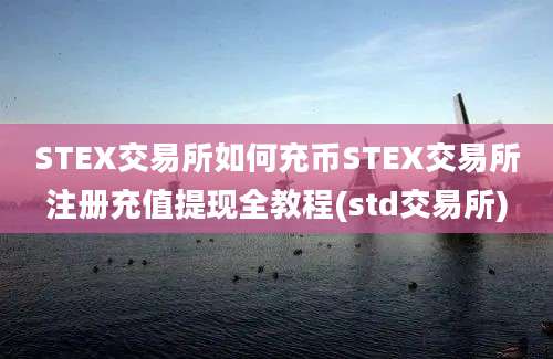 STEX交易所如何充币STEX交易所注册充值提现全教程(std交易所)