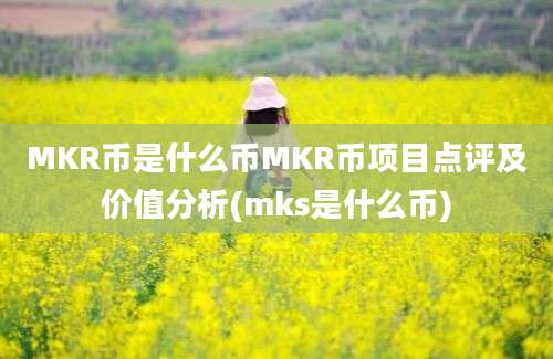 MKR币是什么币MKR币项目点评及价值分析(mks是什么币)