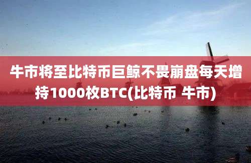 牛市将至比特币巨鲸不畏崩盘每天增持1000枚BTC(比特币 牛市)