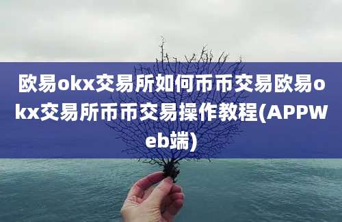 欧易okx交易所如何币币交易欧易okx交易所币币交易操作教程(APPWeb端)