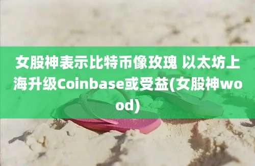 女股神表示比特币像玫瑰 以太坊上海升级Coinbase或受益(女股神wood)