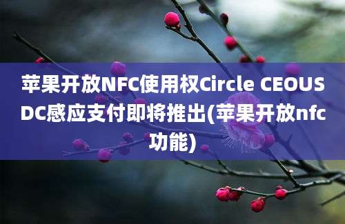 苹果开放NFC使用权Circle CEOUSDC感应支付即将推出(苹果开放nfc功能)