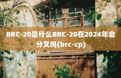 BRC-20是什么BRC-20在2024年会分叉吗(brc-cp)