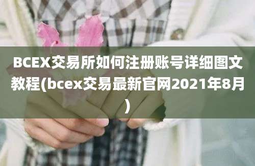 BCEX交易所如何注册账号详细图文教程(bcex交易最新官网2021年8月)