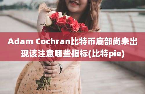 Adam Cochran比特币底部尚未出现该注意哪些指标(比特pie)