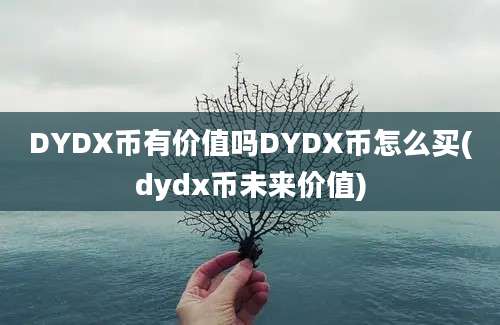 DYDX币有价值吗DYDX币怎么买(dydx币未来价值)