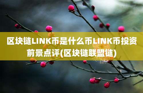 区块链LINK币是什么币LINK币投资前景点评(区块链联盟链)