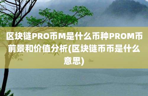 区块链PRO币M是什么币种PROM币前景和价值分析(区块链币币是什么意思)