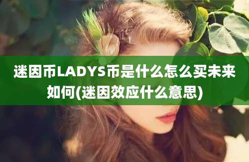 迷因币LADYS币是什么怎么买未来如何(迷因效应什么意思)