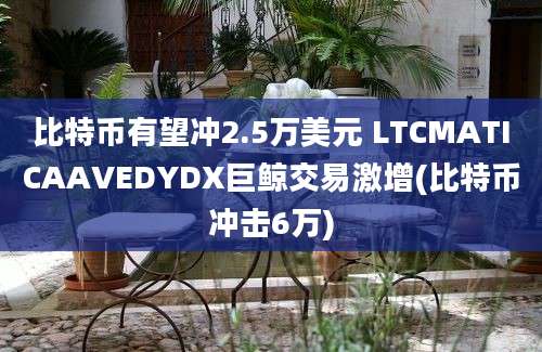 比特币有望冲2.5万美元 LTCMATICAAVEDYDX巨鲸交易激增(比特币冲击6万)