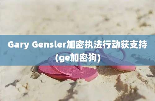 Gary Gensler加密执法行动获支持(ge加密狗)