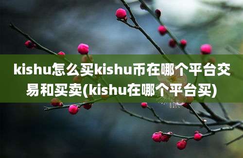 kishu怎么买kishu币在哪个平台交易和买卖(kishu在哪个平台买)