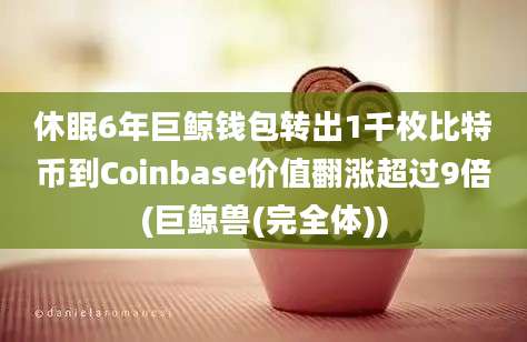 休眠6年巨鲸钱包转出1千枚比特币到Coinbase价值翻涨超过9倍(巨鲸兽(完全体))