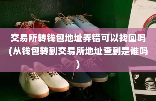 交易所转钱包地址弄错可以找回吗(从钱包转到交易所地址查到是谁吗)