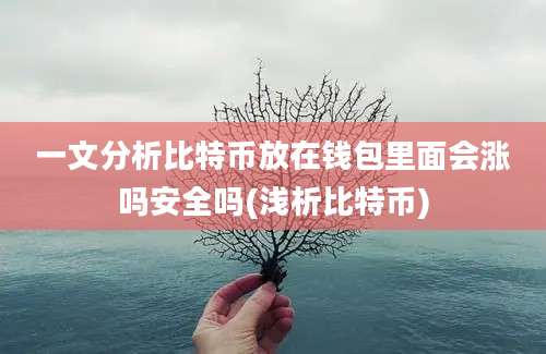 一文分析比特币放在钱包里面会涨吗安全吗(浅析比特币)