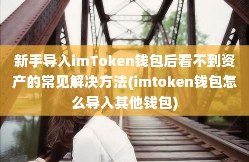 新手导入imToken钱包后看不到资产的常见解决方法(imtoken钱包怎么导入其他钱包)